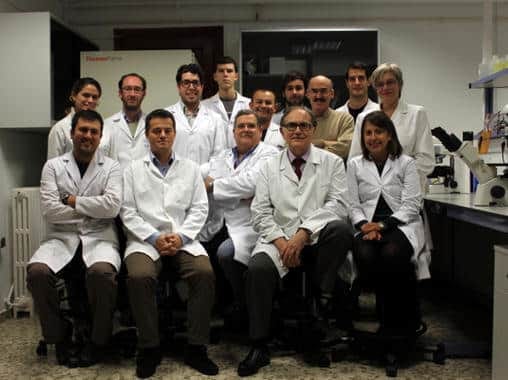 Equipo que creó la piel artificial.